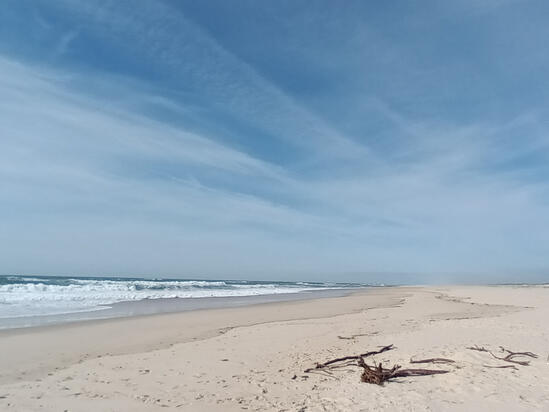 Strand & Viel Meer: São Jacinto